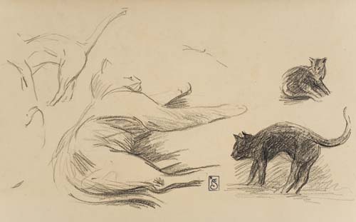 Etude des Chats (2)