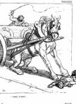 mis_chevalp3_q16.jpg