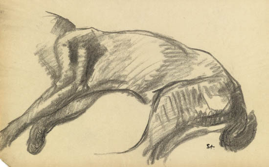 Study of the body of a cat stretching out