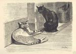 steinlen two cats.jpg