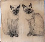 Two Siamese