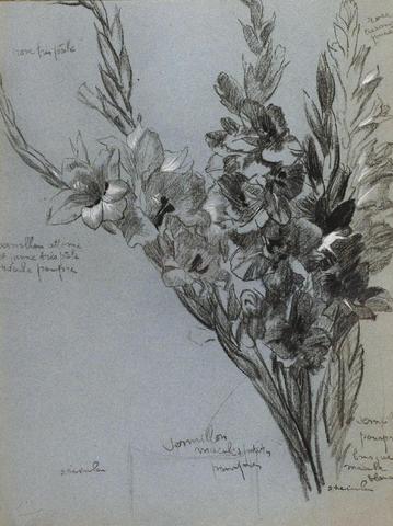 Les Glaieuls (Art Pictural auction, Jul. 30, 2013)