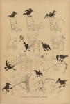 Le Corbeau et Le Chat (No. 111) (Feb. 23, 1884)