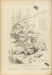 Hannetons (June 7, 1885)