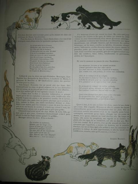 Sur Les Chats 3