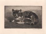 Petit Chat (1898) (C 27) (1st state)
