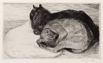Two Sleeping Cats (1914)
