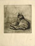 Chat Dormant Dans Un Coin (1902) (C 76) (1st state) (Collection of the Bibliotheque Nationale de France)