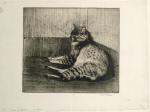 Chat Dormant Dans Un Coin (1902) (C 76) (2nd state) (Collection of the Bibliotheque Nationale de France)