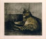 Chat Dormant Dans Un Coin (1902) (C 76) (3rd state) (Collection of the Bibliotheque Nationale de France)