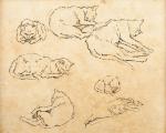 Study of Cats (Galartis auction, Mar. 31, 2012)