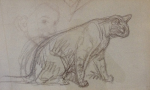 Cat sketch (Galartis auction, June 22, 2013)