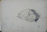 Study of cats -- Fritz et Chiffon (offered on ebay, Sept. 2013)