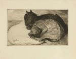 Two Sleeping Cats (1914) (no pencil signature)